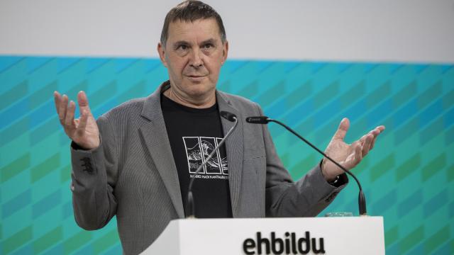 El coordinador general de EH Bildu, Arnaldo Otegi, en una comparecencia. EFE/Javier Etxezarreta