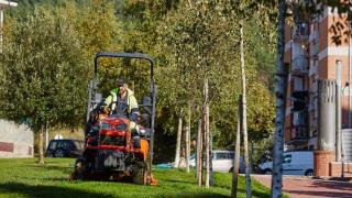 Un trabajador de Enviser realiza las labores de jardinería