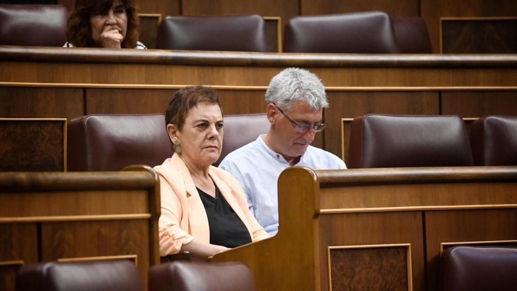 Los diputados de EH Bildu, Mertxe Aizpurua y Oskar Matute, durante un pleno en el Congreso de los Diputados