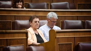 Los diputados de EH Bildu, Mertxe Aizpurua y Oskar Matute, durante un pleno en el Congreso de los Diputados