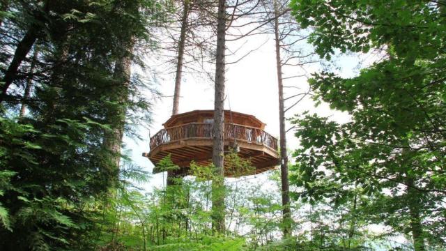Cabaña de árboles