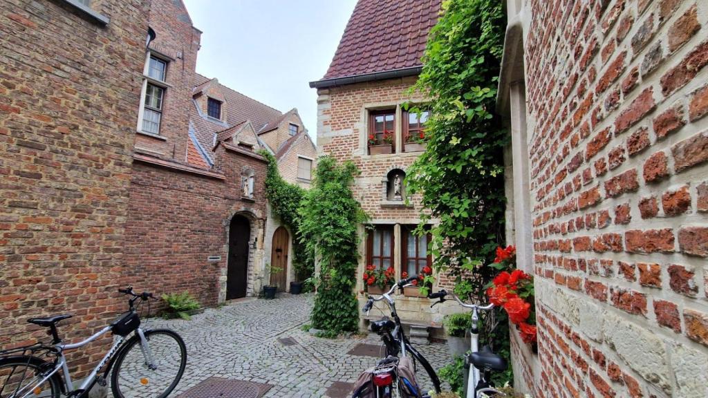 Desde principios del siglo XIII está documentada la presencia de beguinas  en Malinas