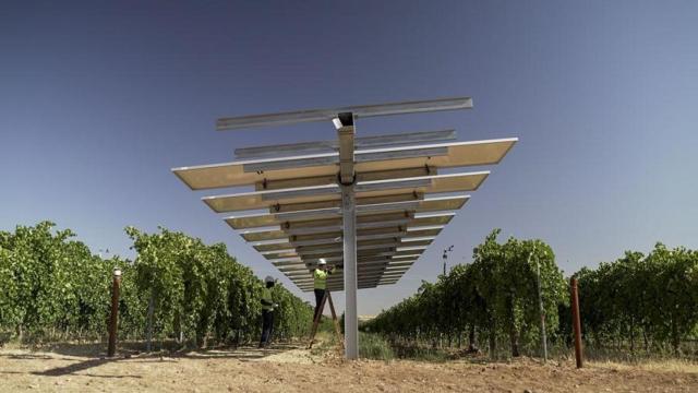 Unos técnicos trabajan en unos paneles solares del proyecto agrovoltaico 'WineSolar' de Iberdrola en Toledo