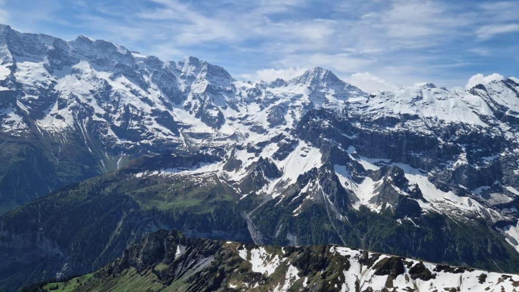 Lugar privilegiado para disfrutar de las vistas de los Alpes suizos e incluso los Vosgos franceses y la selva negra