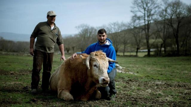 Un joven ganadero con su padre en una explotación agraria en una foto de archivo