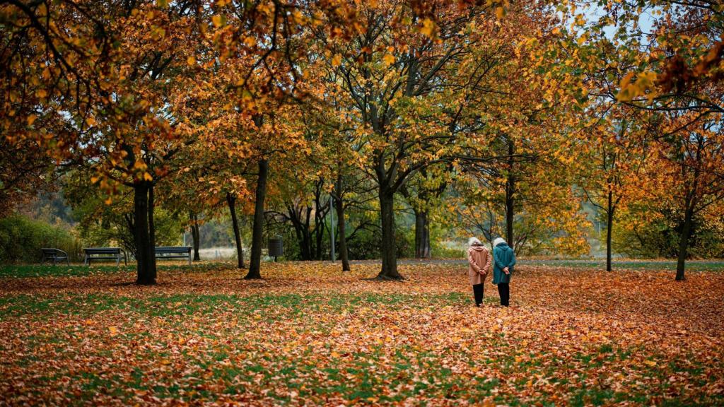 El Gobierno vasco rechaza igualar las pensiones bajas y SMI.