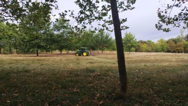 Un tractor realiza labores de jardinería en las campas de Olárizu.
