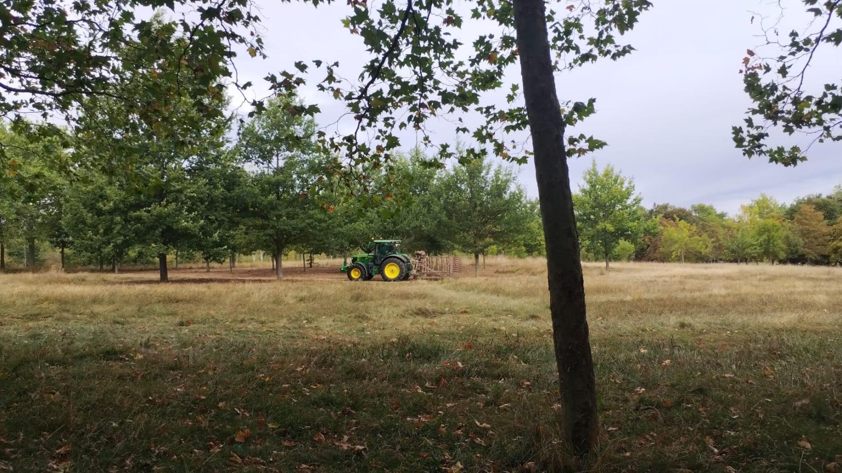 Un tractor realiza labores de jardinería en las campas de Olárizu