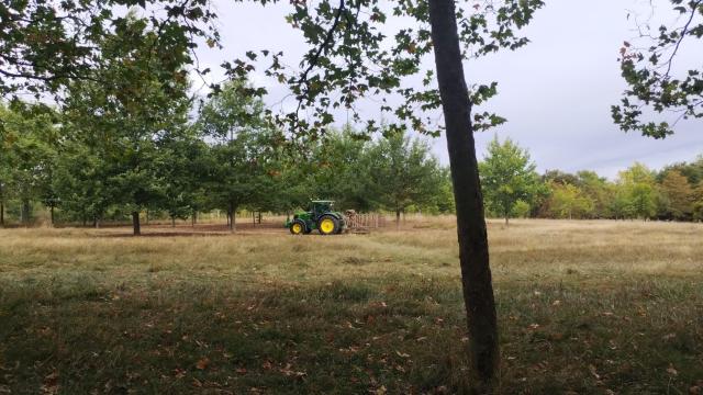 Un tractor realiza labores de jardinería en las campas de Olárizu