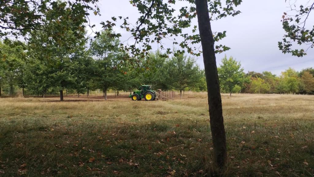 Un tractor realiza labores de jardinería en las campas de Olárizu