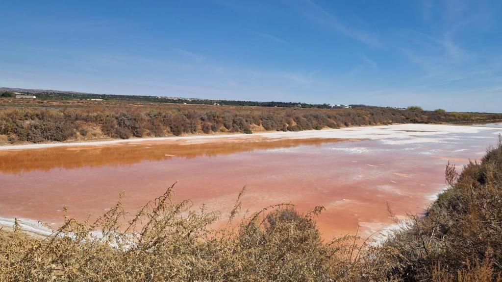 El tono rosado que, en determinadas épocas del año, se aprecia en las salinas se debe a la presencia de un alga —dunaliella salina— que, combinada con las bacterias y gran concentración de sal, da origen a esa infrecuente coloración