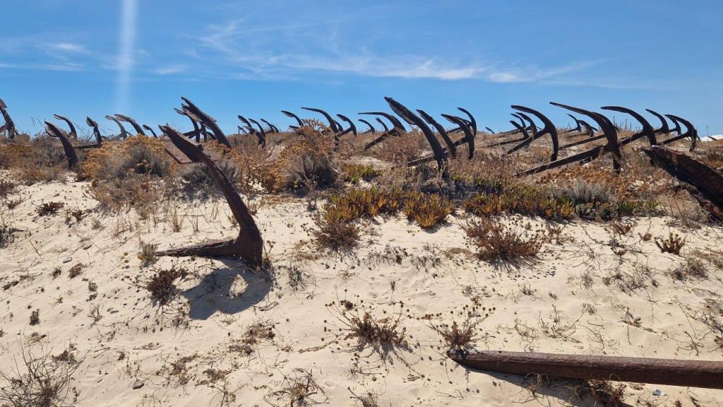 Más de doscientas de anclas reposan oxidadas en la arena en la que, hasta su desaparición en los años sesenta, varaban los atuneros