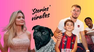 Desde Angelina Jolie en el Festival de San Sebastián hasta el campeonato de los mejores adiestradores de perros: una agenda diversa