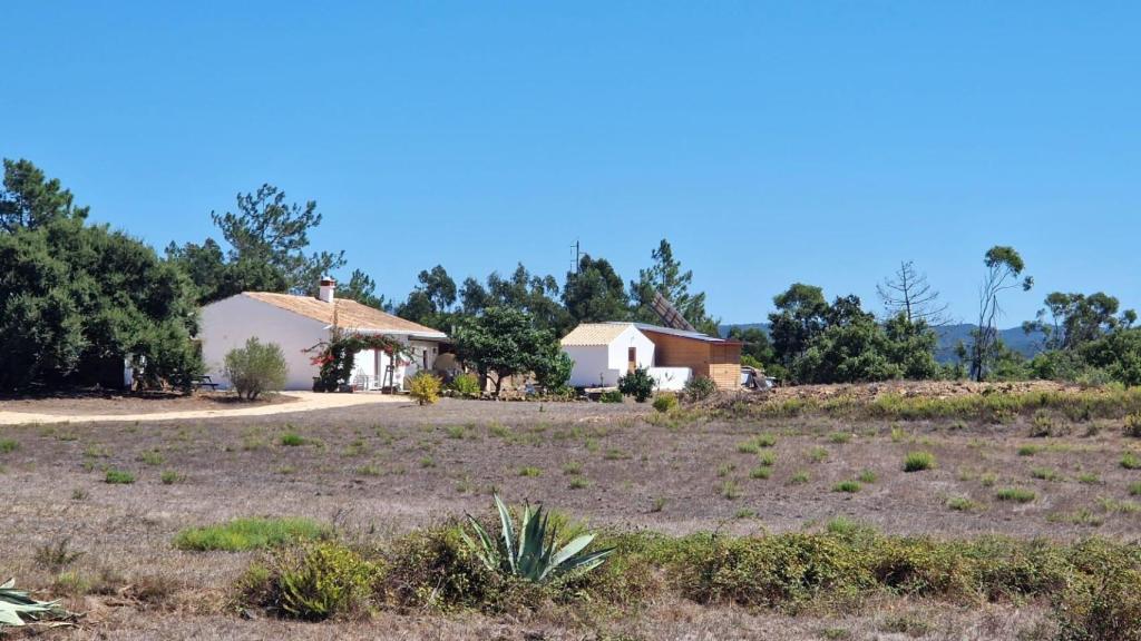 La personalidad del propietario, como en la cara -dicen- lo es la nariz, en las casas la determina la chimenea