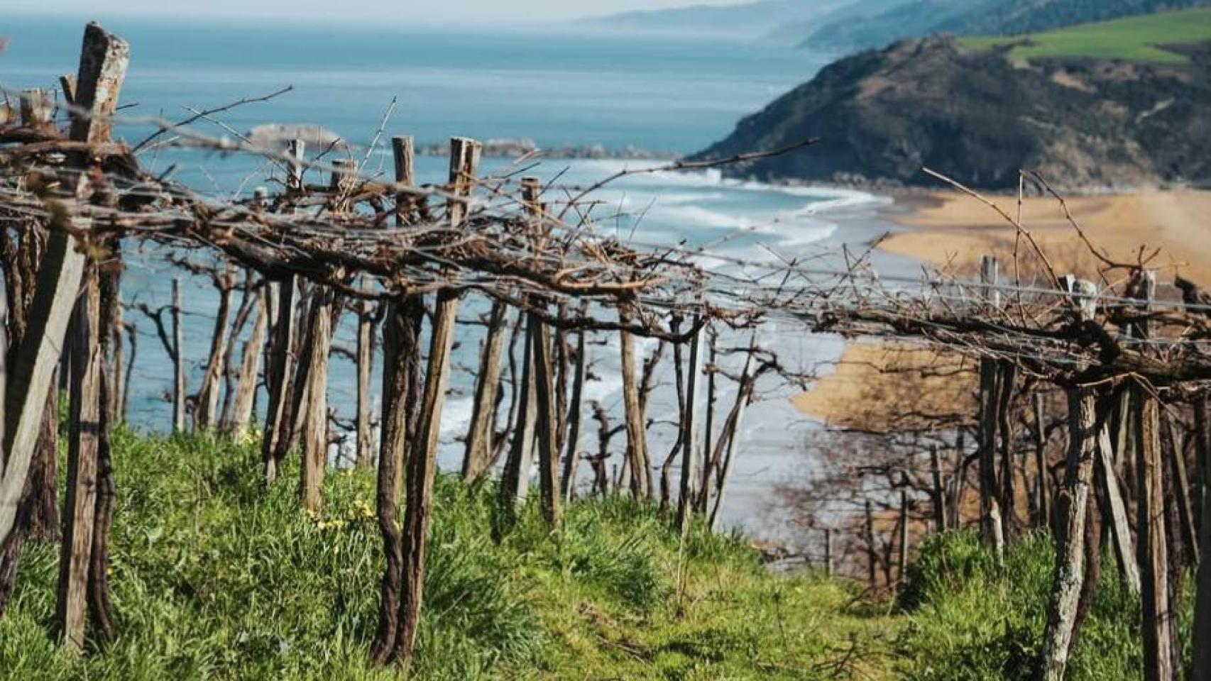 La ruta más bonita este otoño con vistas al mar que enamora a todos los vascos.
