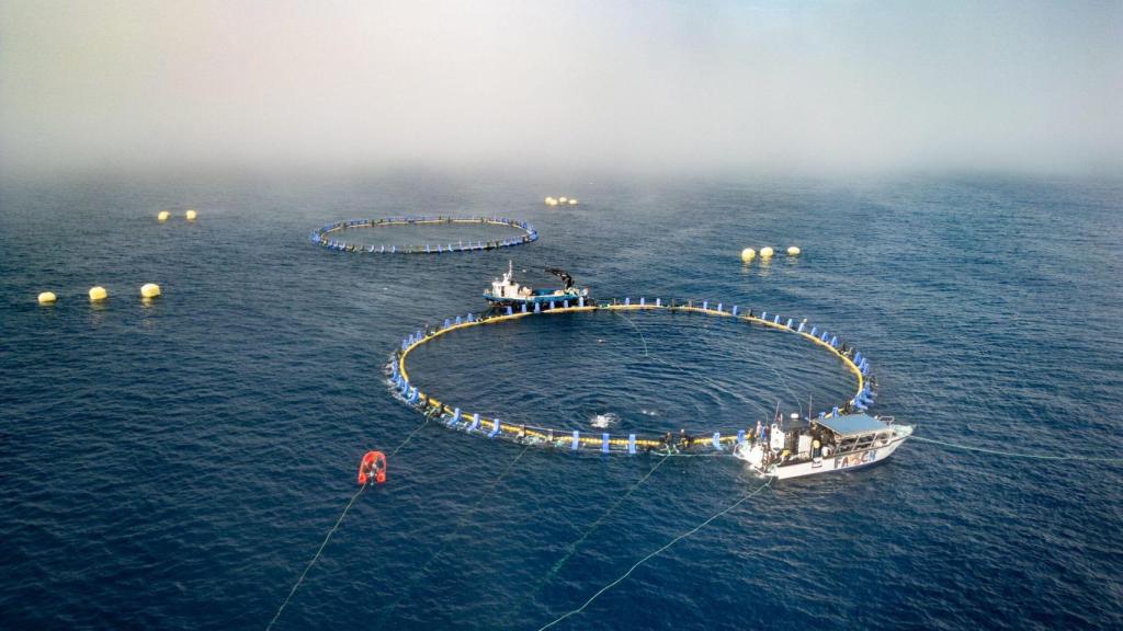 Itsas Balfegó aborda la última fase de su proyecto en el Cantábrico para verificar su viabilidad técnica y económica.