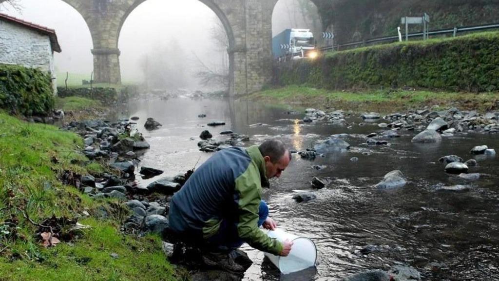 Repoblación de angulas en el río Urola a su paso por la localidad guipuzcoana de Azkoitia
