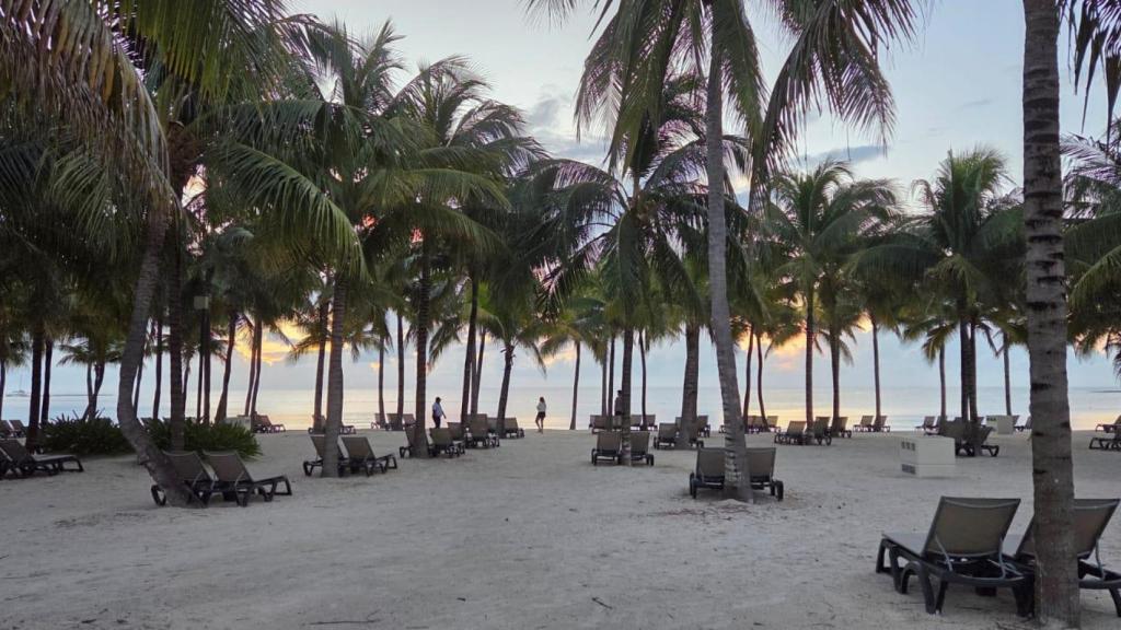 Existen opciones de alojamiento familiar o solo adultos, caso de Barceló Riviera Maya a cuyos clientes se permite acceder a la oferta de los otros cinco hoteles del macrocomplejo