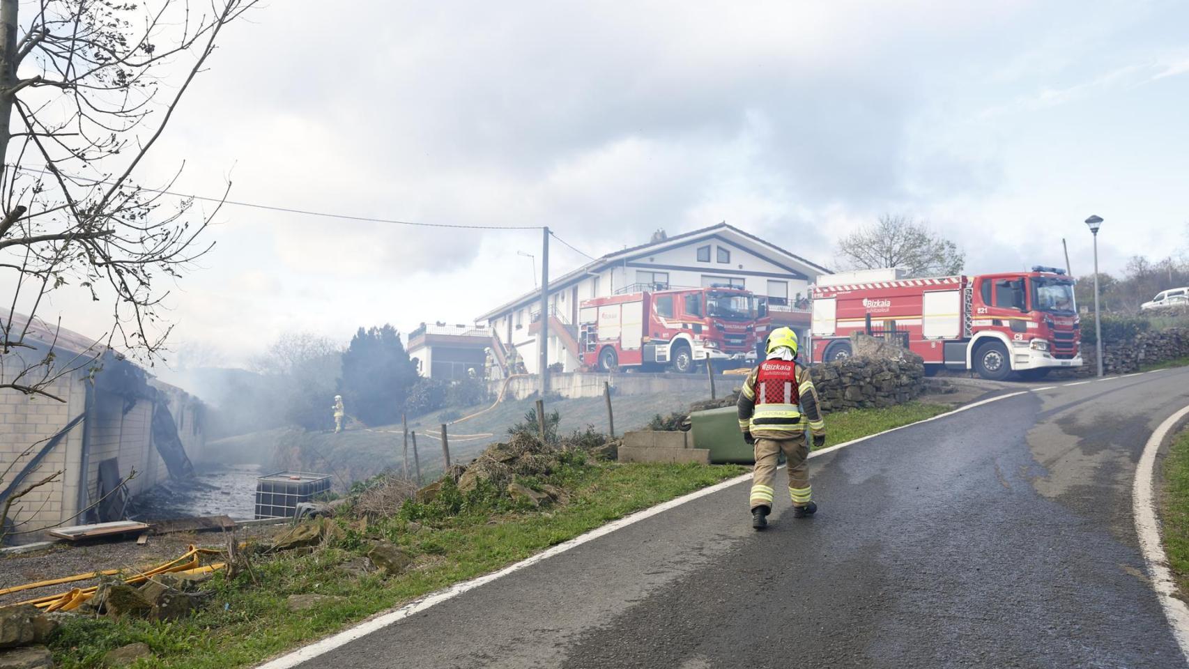 El incendio en el que han muerto 33 vacas en la localidad vizcaína de Karrantza