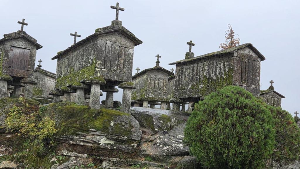 Los espigueiros, calificados Bien de Interés Público en 1983, son estructuras de piedra del siglo XVIII cuya historia se remonta a la llegada del maíz un siglo antes