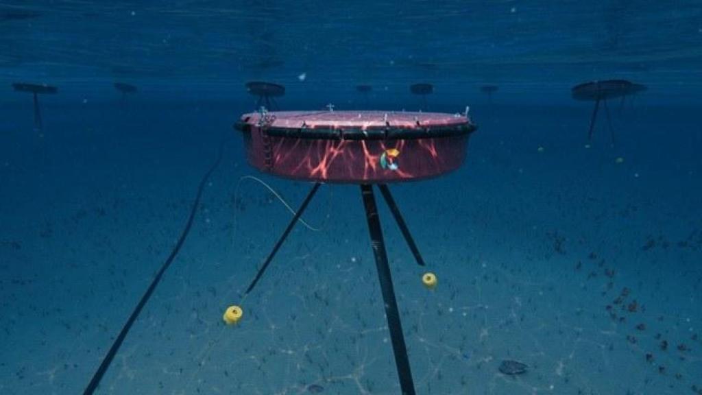 Dispositivo Ceto de Carnegie