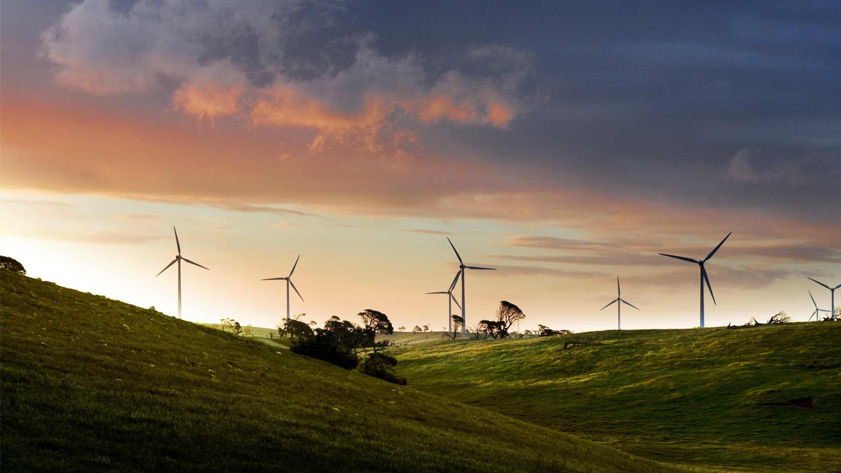 Parque eólico Lake Bonney Iberdrola Australia