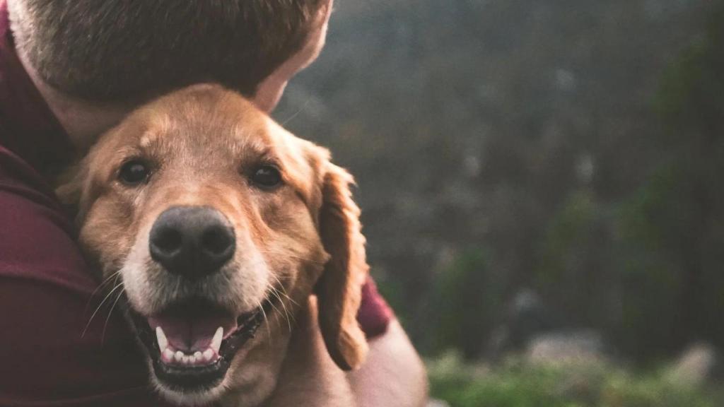 Un hombre abraza a su perro
