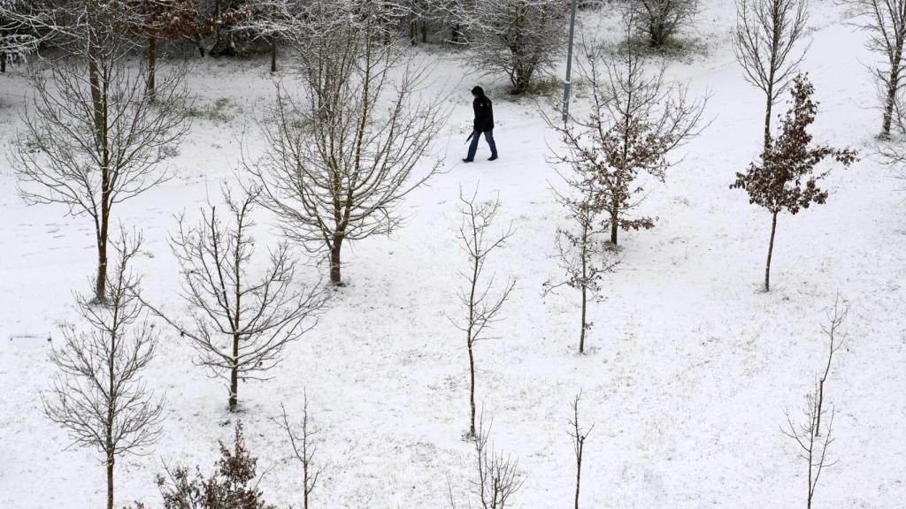 Vitoria ha amanecido cubierta de nieve tras una noche gélida en Euskadi