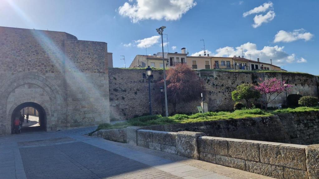 Las puertas de la muralla, todas con vigilancia, se cerraban por la noche. La del Rey, está actualmente tapiada y la denominada Puerta Nueva, junto a la de Amayuelas, es la más amplia para permitir el acceso de vehículos