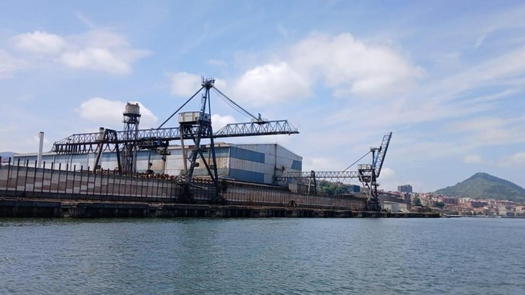 Vista de ArcelorMittal Sestao desde la margen derecha de la ría / E Press