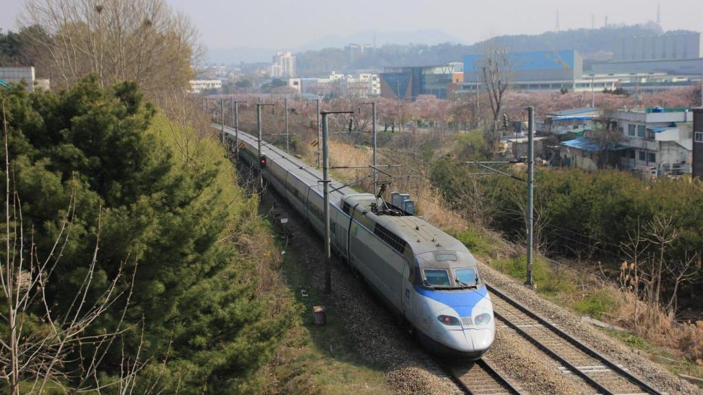 Tren de Alta Velocidad (TAV)