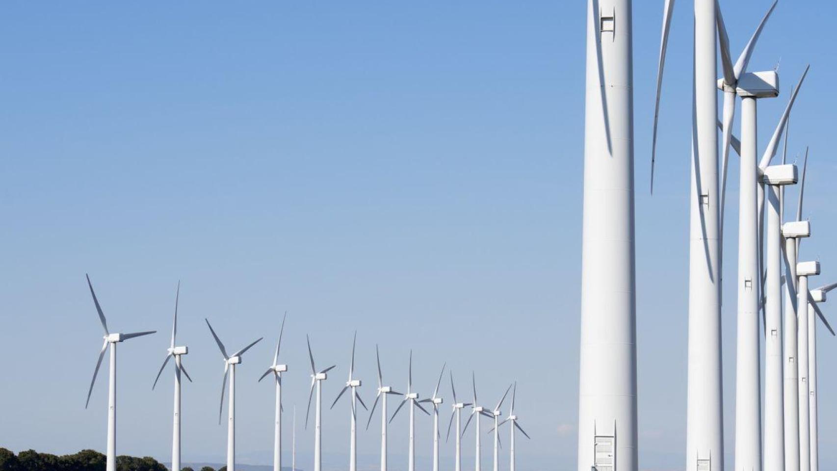 Parque eólico