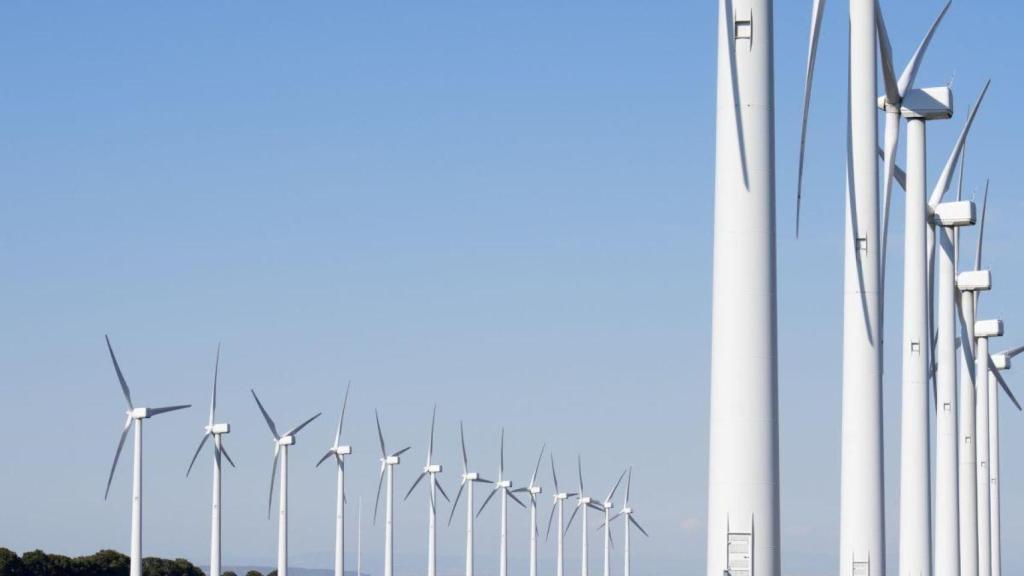 Parque eólico
