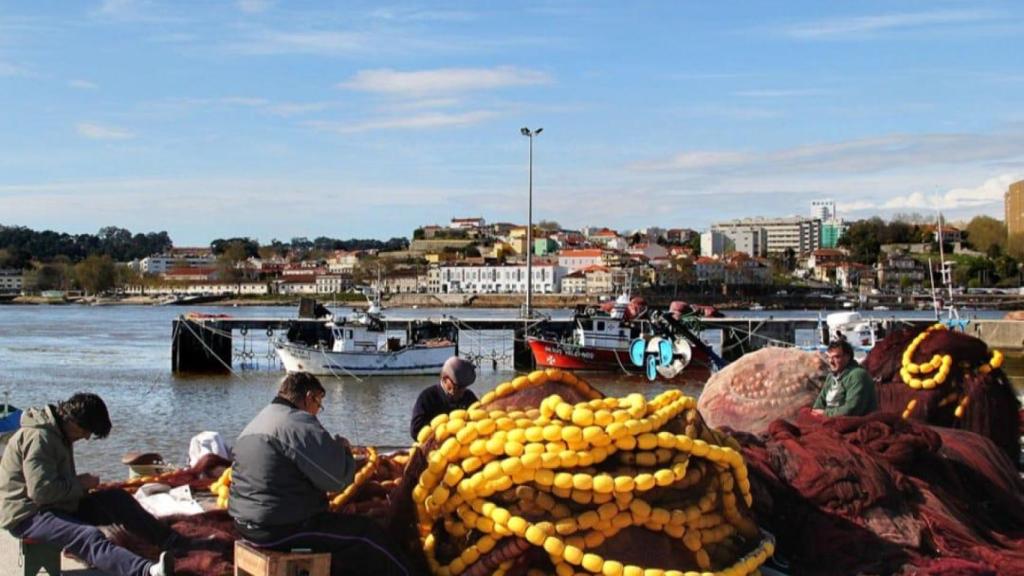 La comunidad de pescadores, que llegó a crear una escuela para enseñar el oficio, se instaló en San Pedro da Afurada en 1800. Más de dos mil años después, las técnicas de pesca han variado, pero las calles siguen siendo “invadidas” por el pescado que llega al muelle