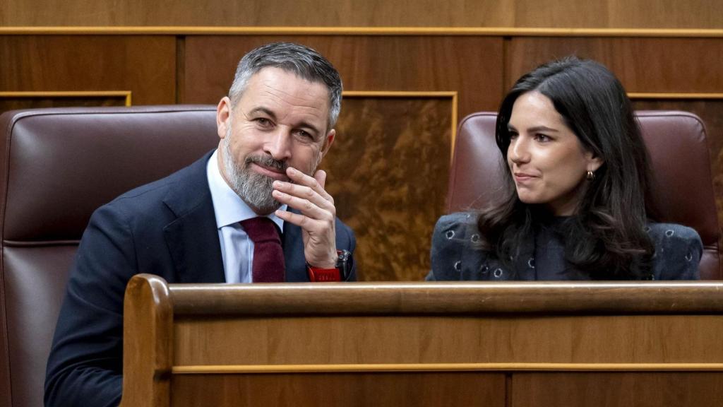 El presidente de Vox, Santiago Abascal, y la portavoz de Vox en el Congreso, Pepa Millán, durante una sesión plenaria, en el Congreso de los Diputados, a 12 de febrero de 2026