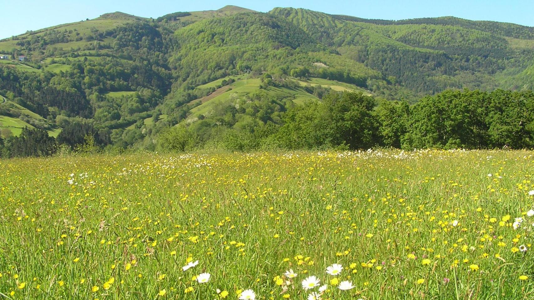 El parque natural más impresionante de Euskadi.