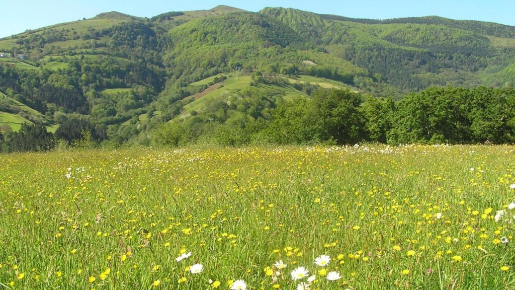 El parque natural más impresionante de Euskadi.