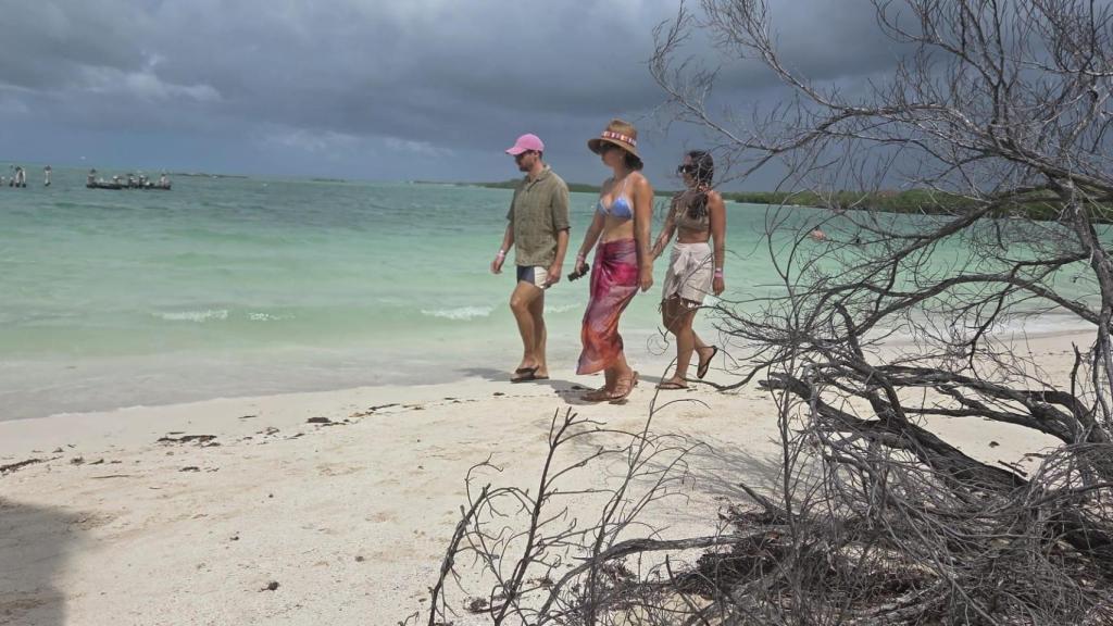 Contoy es el último punto del Caribe mexicano. En la isla se permite el snorkel de superficie pero no el buceo. Tampoco se puede acceder con plásticos ni tabaco