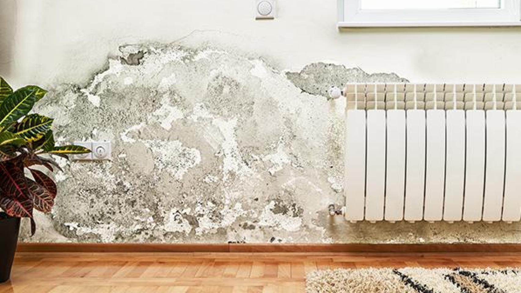 Casa con problemas en la pared.