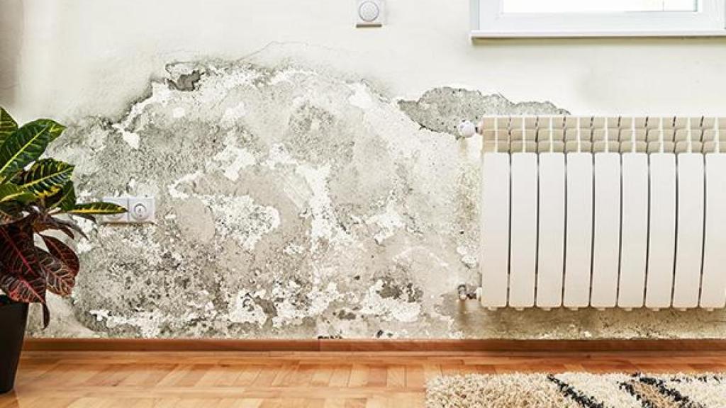 Casa con problemas en la pared.
