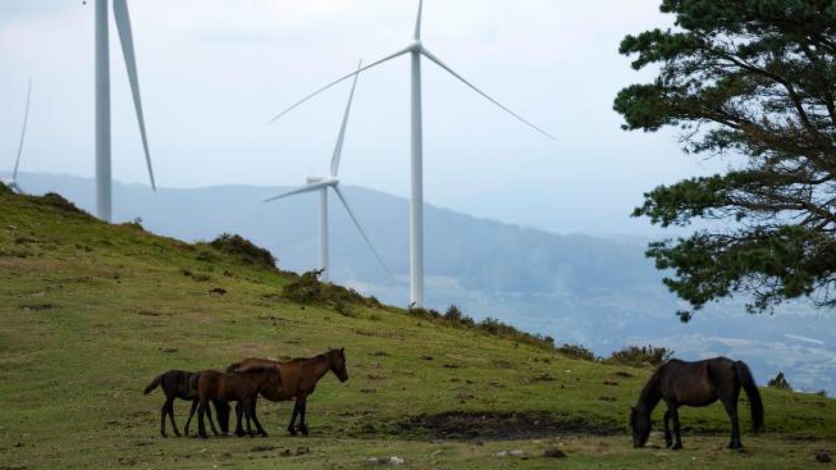 Imagen de archivo de un parque eólico de Iberdrola