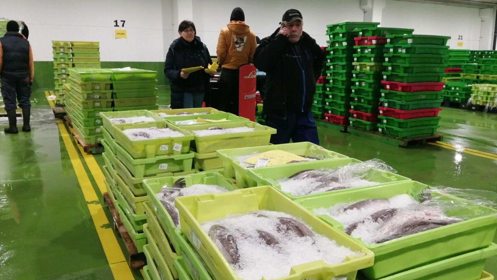 Instalaciones de Urlapesca