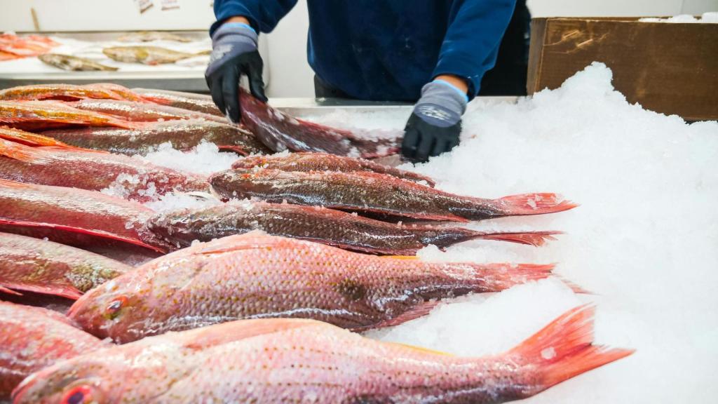 Lonja de pescado