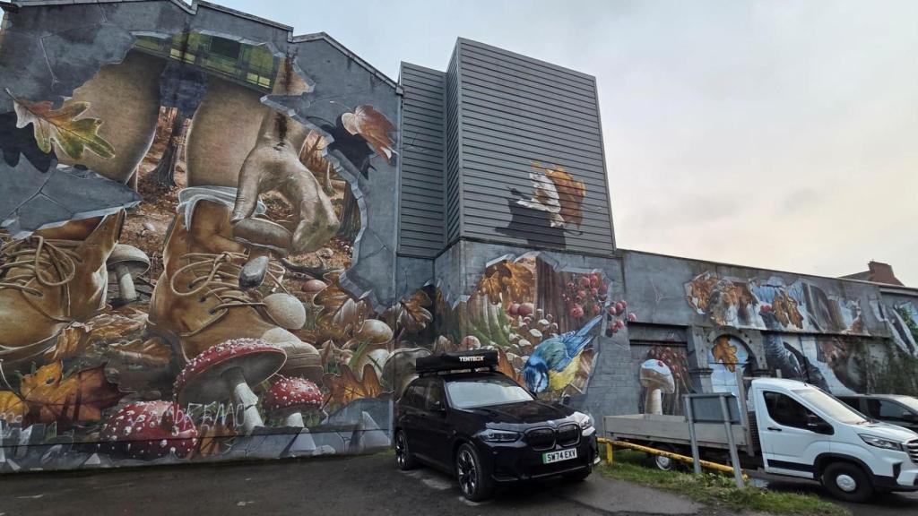 Felllow Glasgow residents. El olor a bosque, las carreras de pequeños animales que se apresuran a esconderse, las bovinas caras de las peludas vacas escocesas, el canto de las aves... la naturaleza en pleno parece abrirse paso en ese enorme mural de la calle Ingram Street ante el que los conductores pueden detenerse a admirar cuando aparcan o recogen sus vehículos