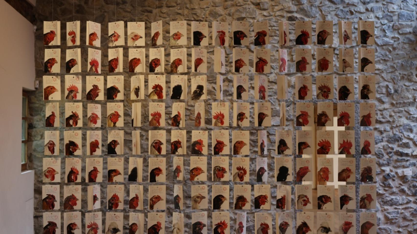 Exposición Limina: Cosmopolitan Chicken Project 30 en Chillida Leku