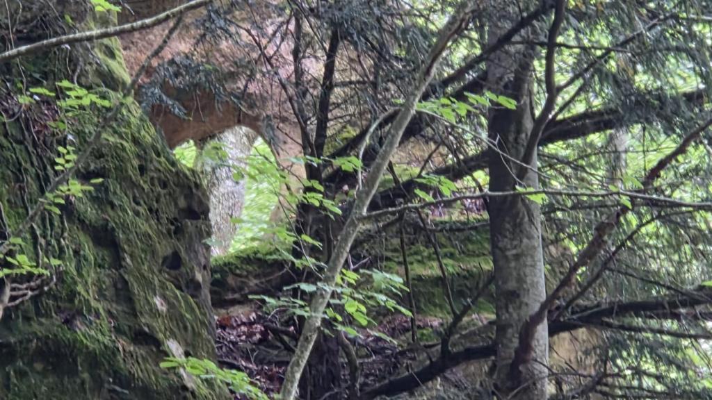 El parque sorprende con recovecos como la llamada ventana del lobo o la Peña del raposo y callejones cuyas orillas podían alcanzarse hace décadas de un solo salto