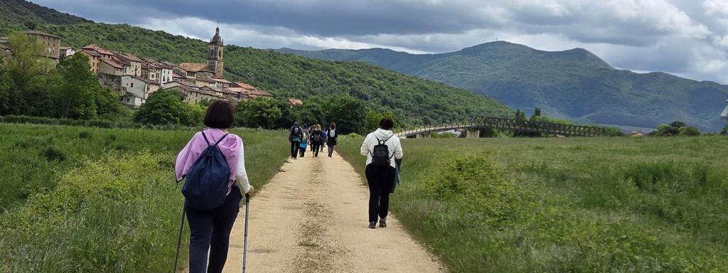 Atauri, al igual que Apellaniz perteneciente al concejo de Arraia-Maeztu, con solo medio centenar de habitantes está dividida en dos barrios separados por el río Ega. La cercana Antoñana pertenece a Campezo