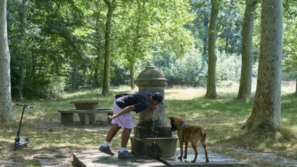 Un hombre y su perro se refrescan en el parque de Olarizu de Vitoria