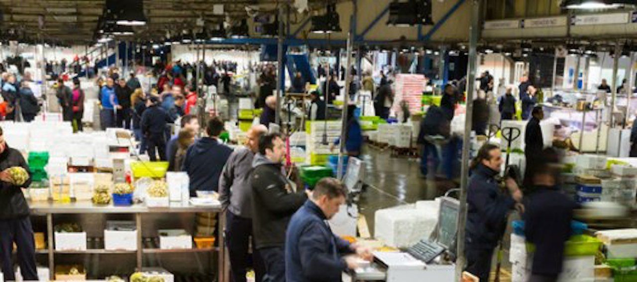 Venta de pescado y marisco en Mercabarna / MERCABARNA