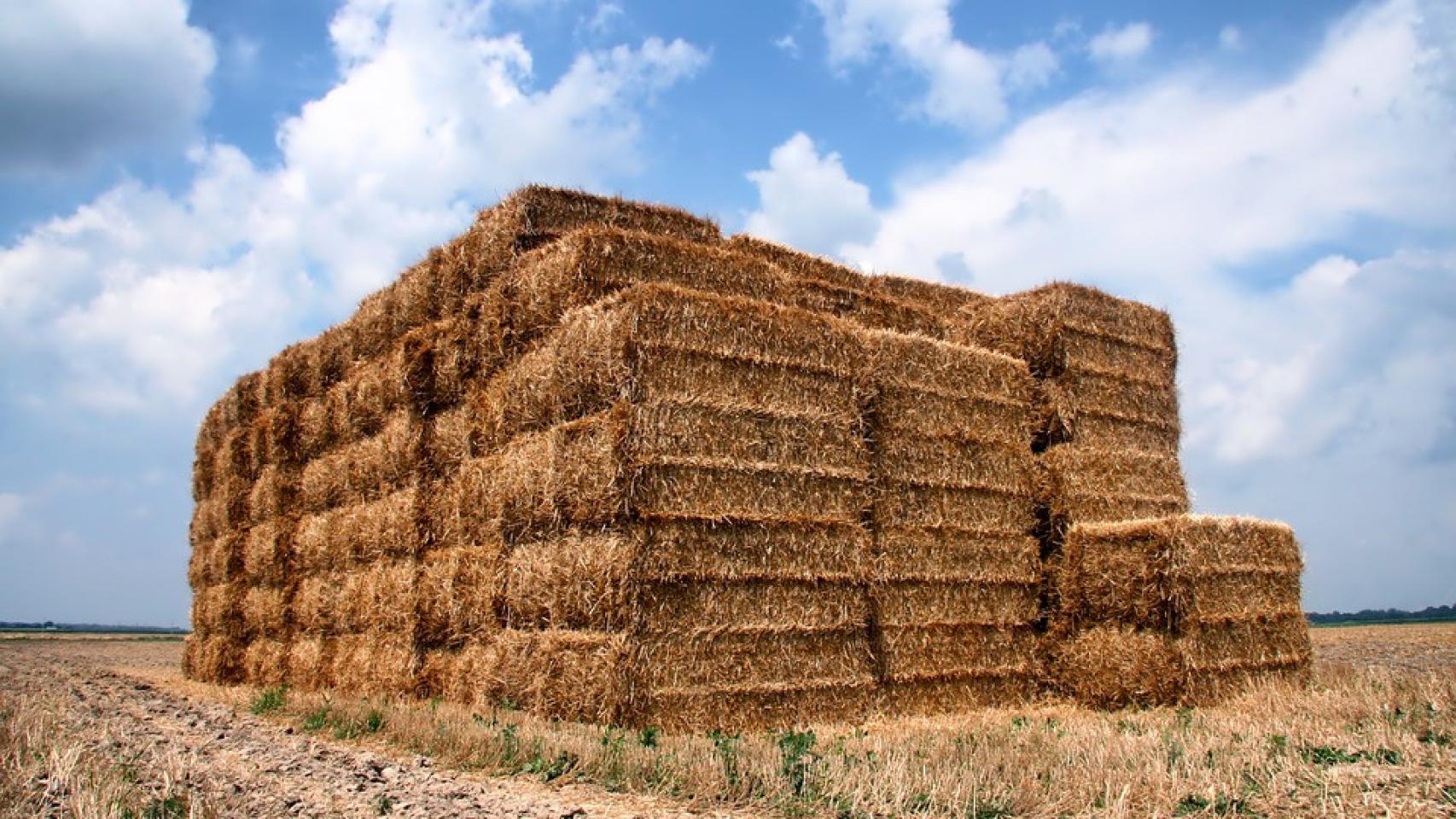 Hombre balas de paja amontonadas